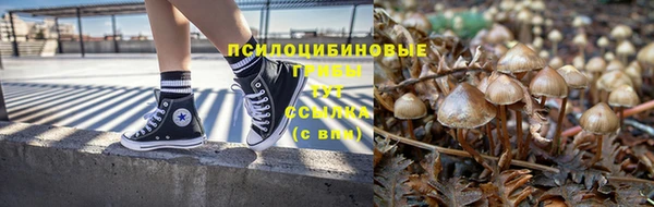 Альфа ПВП Ростов