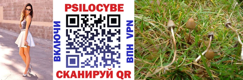 купить закладку  Черногорск  Галлюциногенные грибы Cubensis 